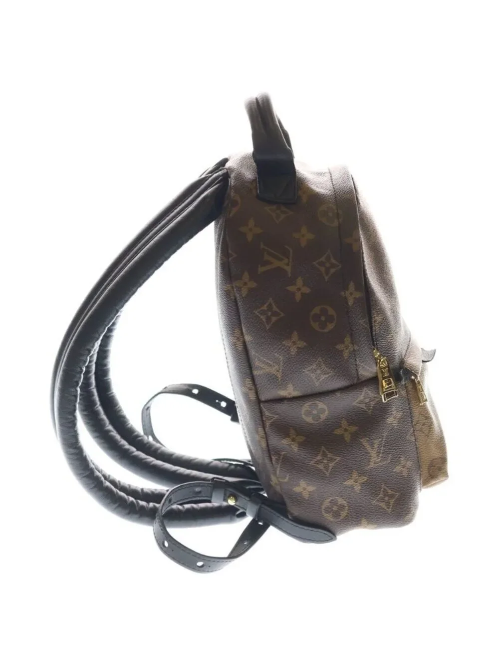 Louis Vuitton Monogram Reverse Palm Springs PM Backpack
